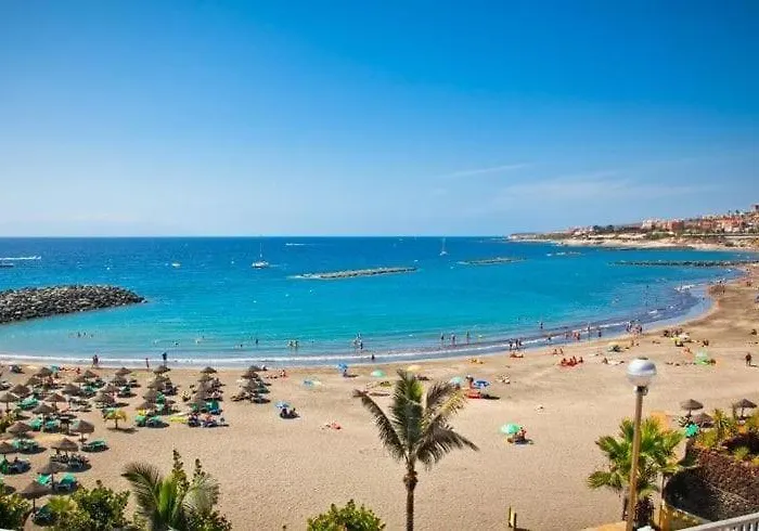 Daire Amazing 3 Bedroom On The First Line Of The Americas Beach, Air Conditioner And Terrace Ocean View *